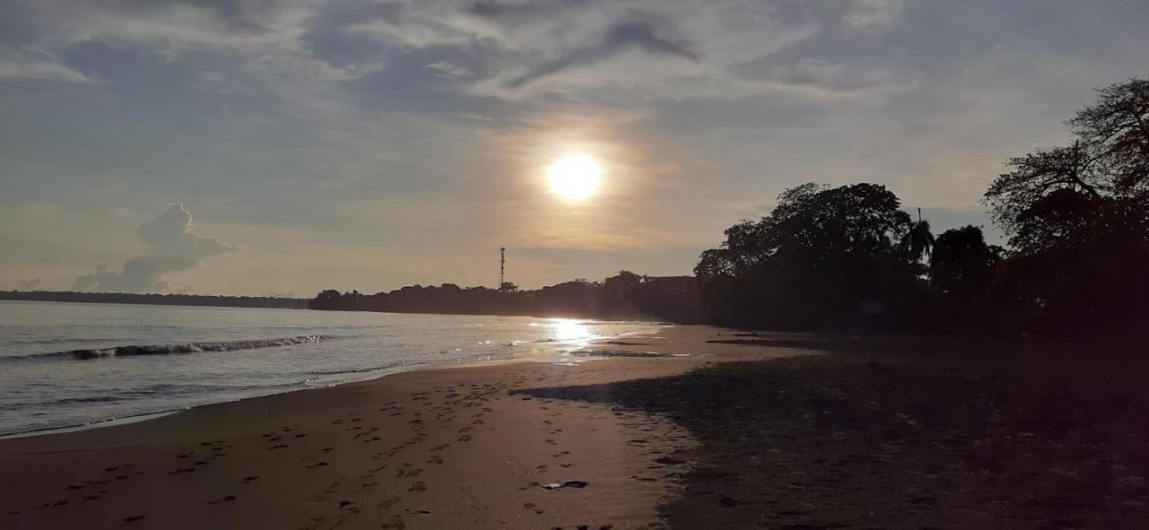 Magic Flower Rooms Cahuita Εξωτερικό φωτογραφία