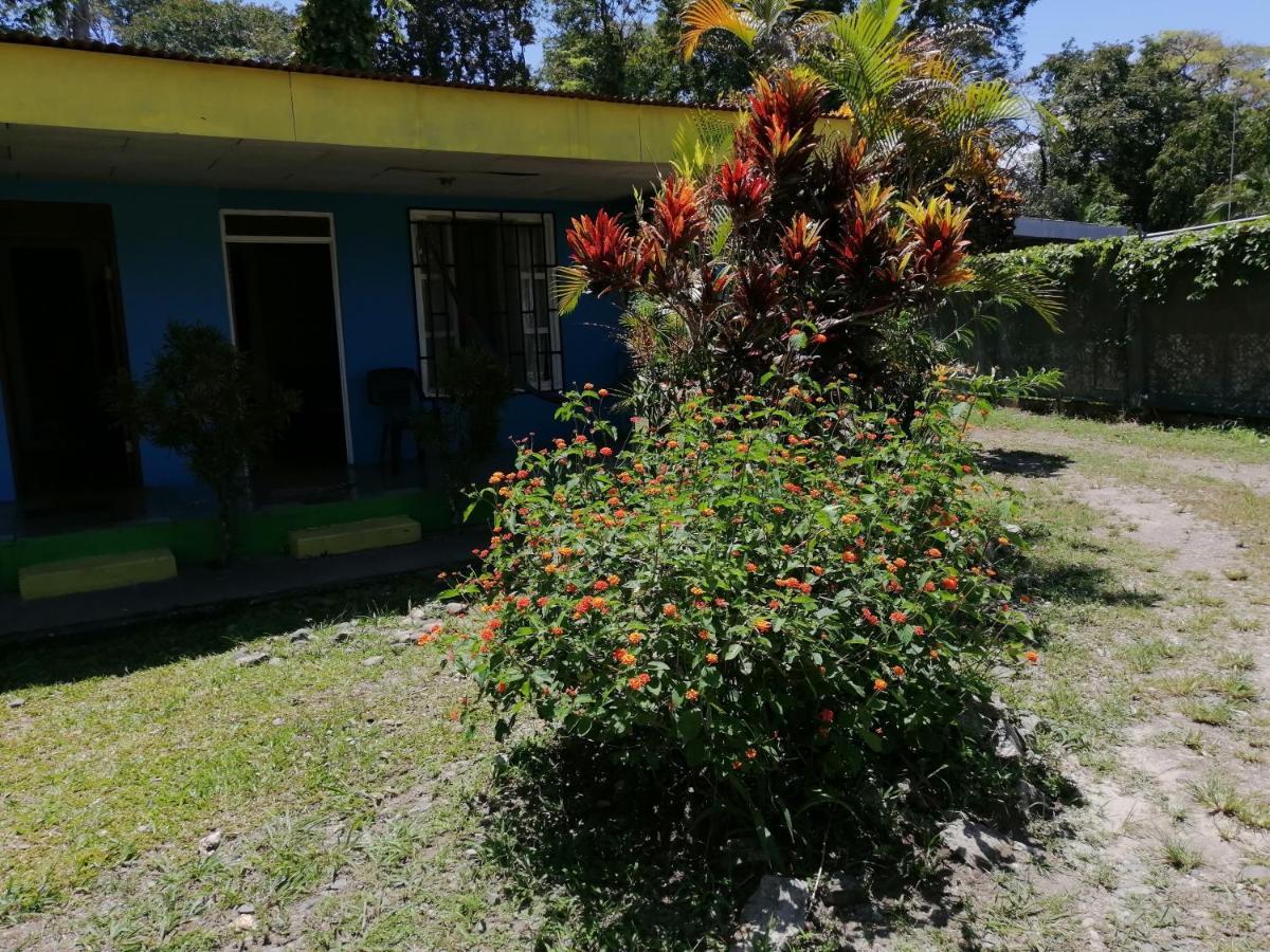 Magic Flower Rooms Cahuita Εξωτερικό φωτογραφία