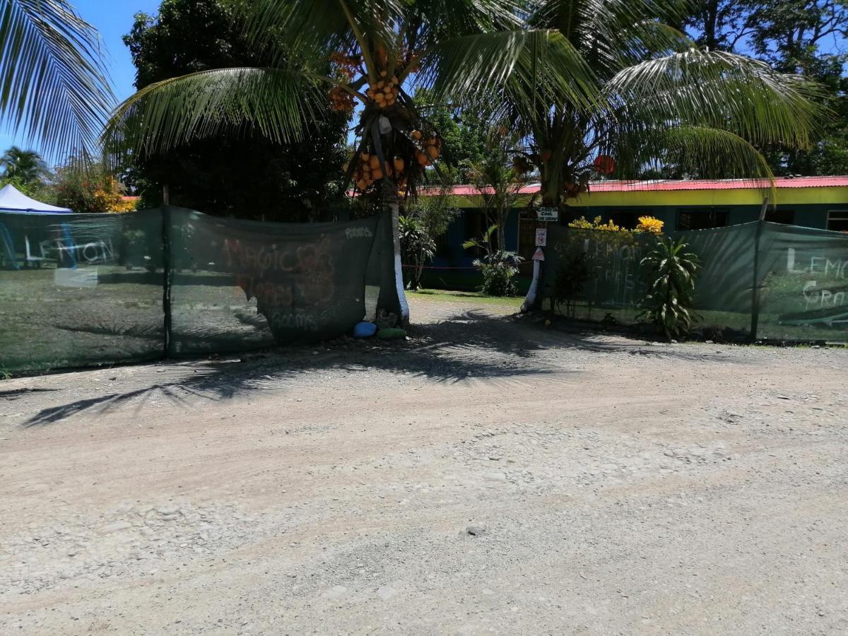 Magic Flower Rooms Cahuita Εξωτερικό φωτογραφία