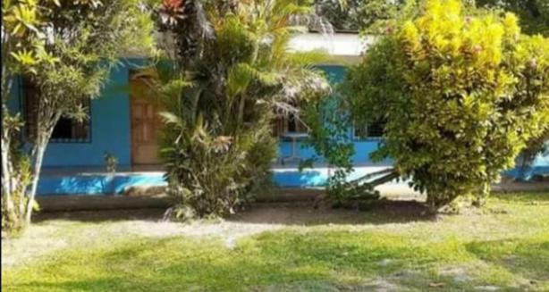 Magic Flower Rooms Cahuita Εξωτερικό φωτογραφία