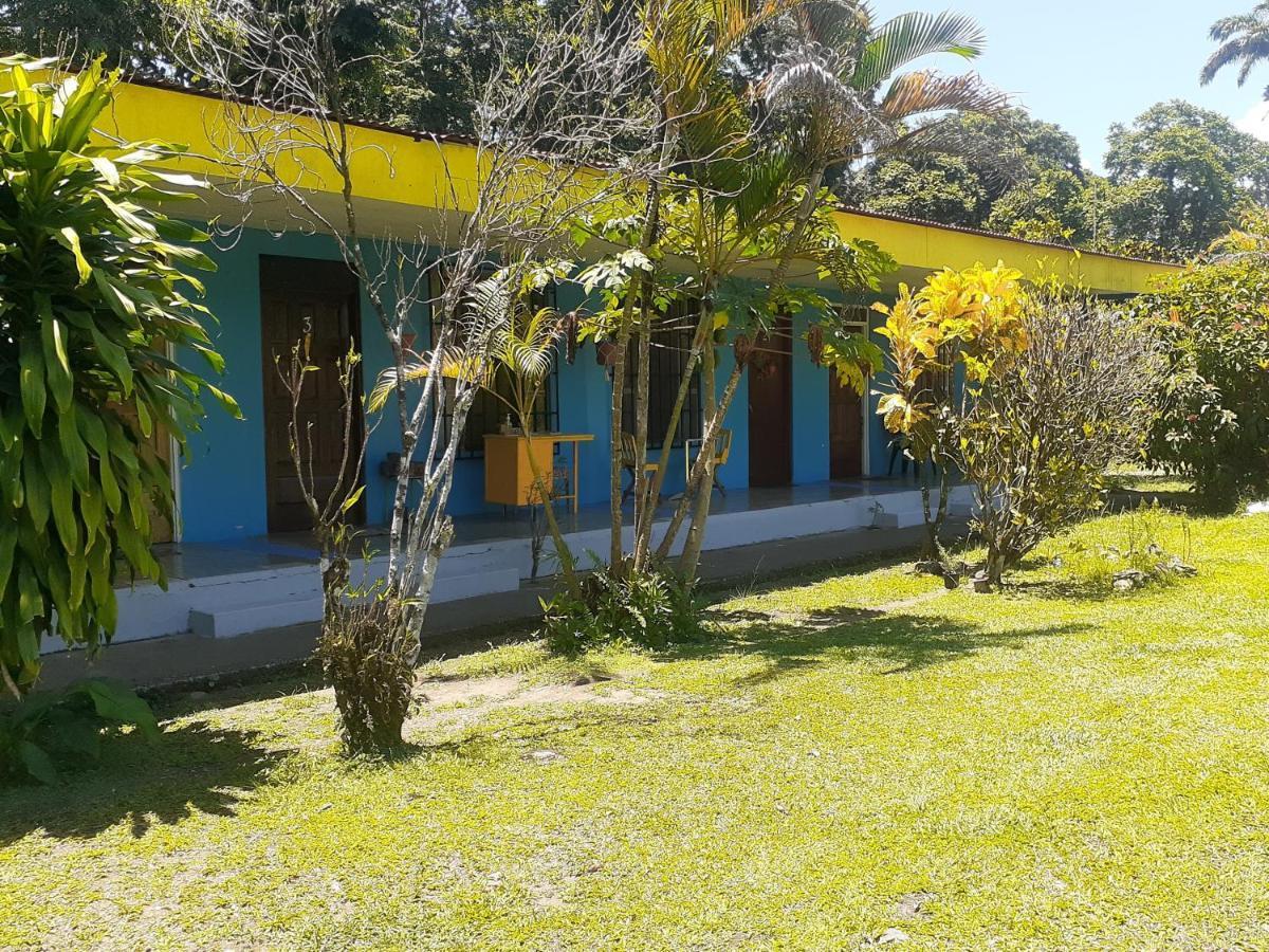 Magic Flower Rooms Cahuita Εξωτερικό φωτογραφία