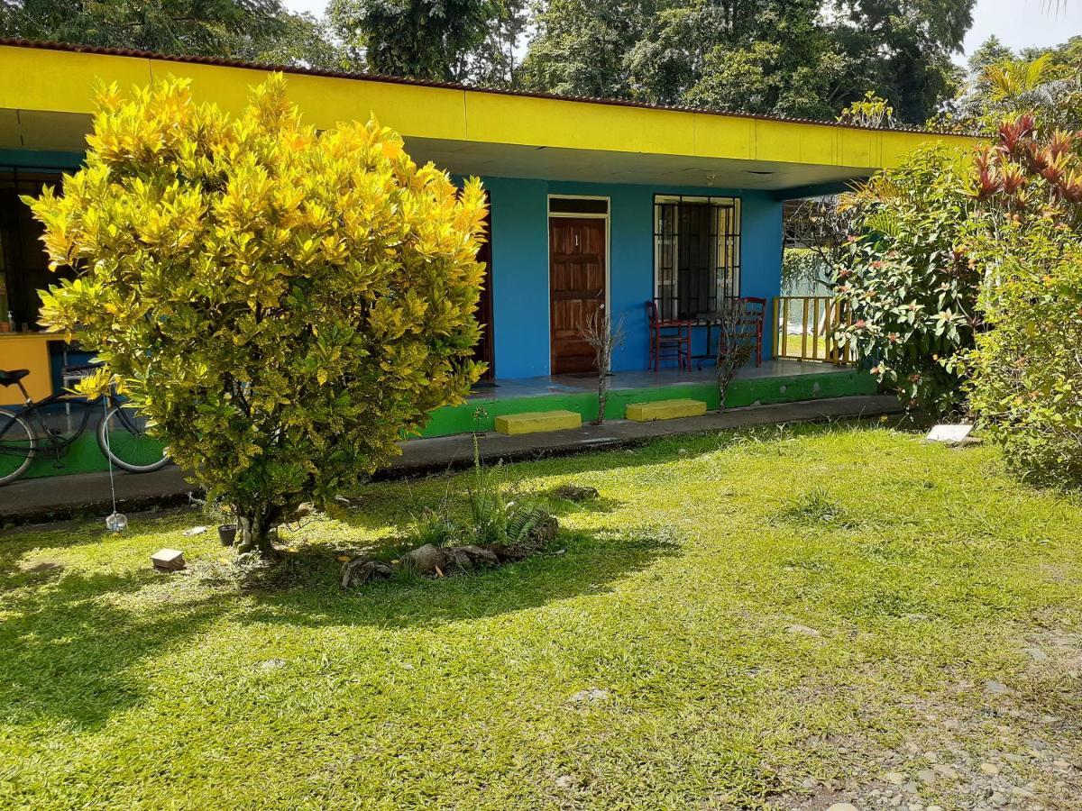 Magic Flower Rooms Cahuita Εξωτερικό φωτογραφία